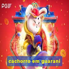 cachorro em guarani